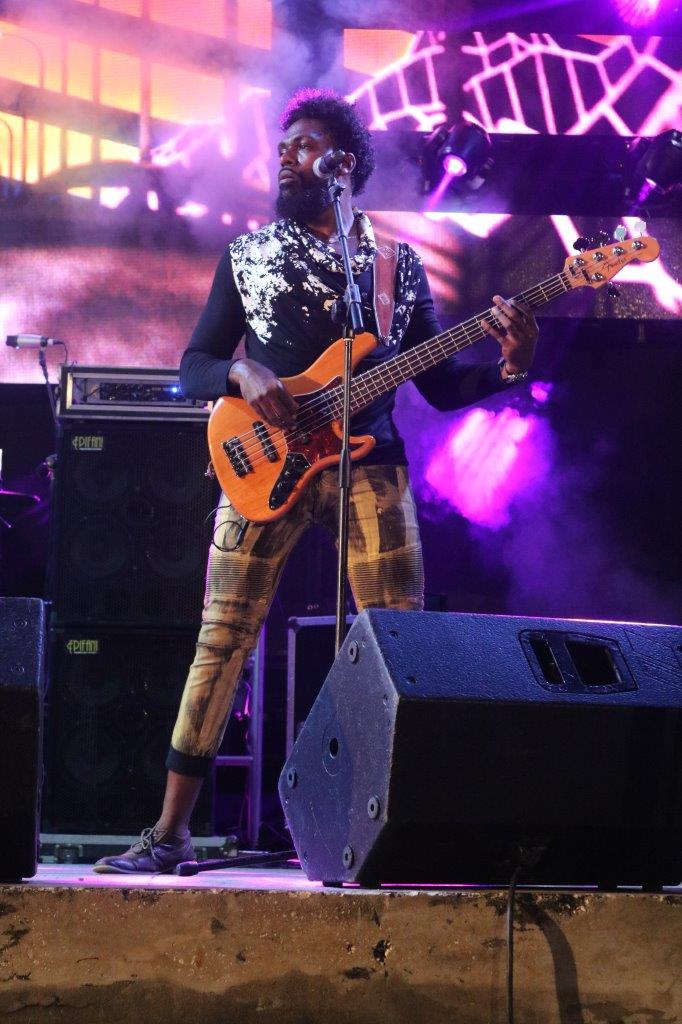 2 Mile Hill Bass Player